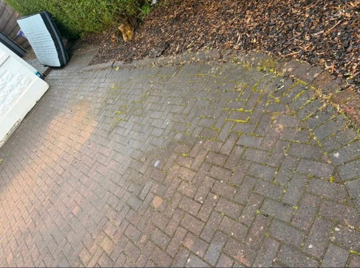 Before driveway cleaning in Hamilton - mossy block paving